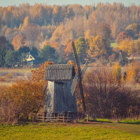 Пушкинские горы: «По любимым местам великого поэта»