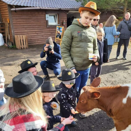 Увлекательное путешествие на ранчо «Авенсис»