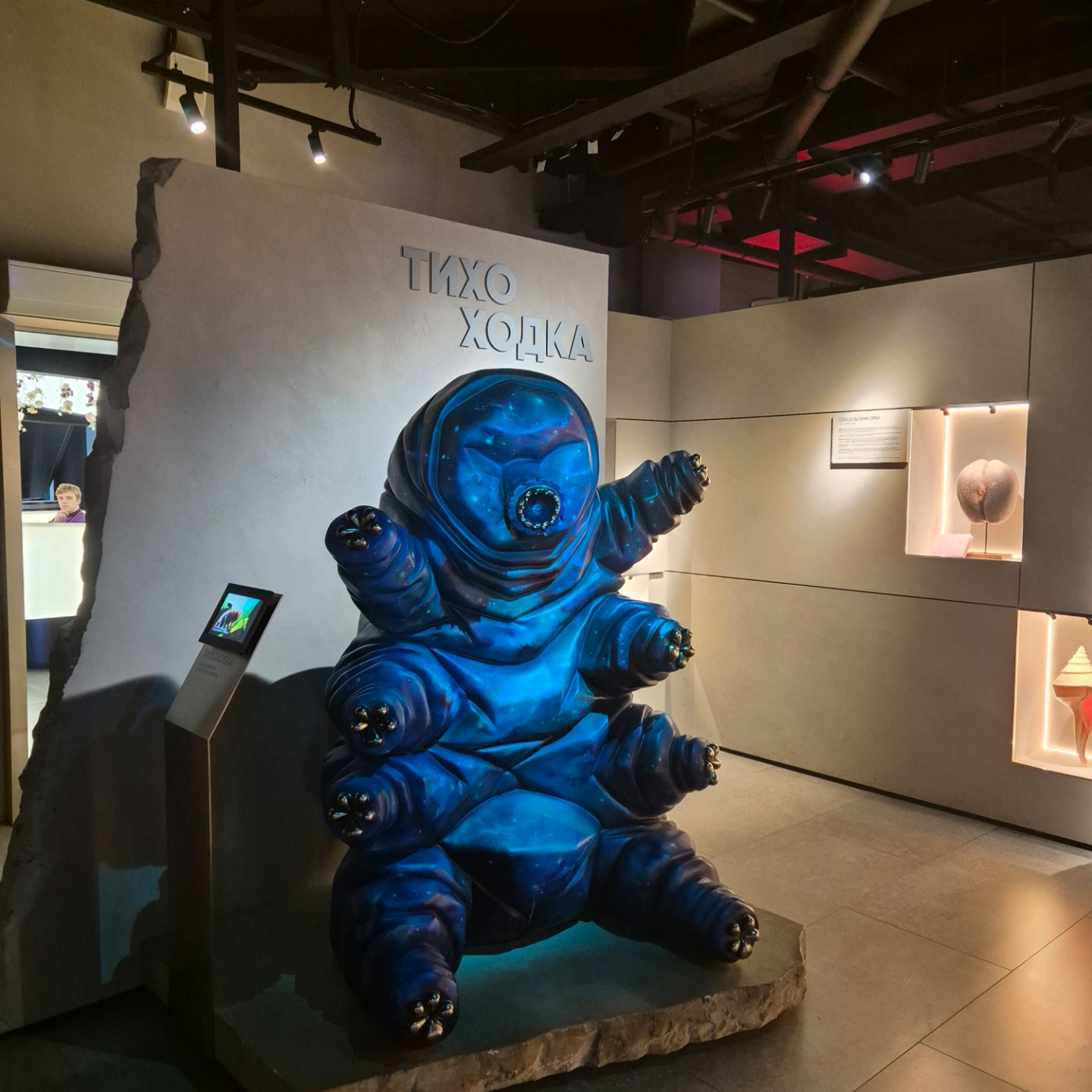 Музей «Арт и Факты»: тур по чудесам – от бегемота до промобота